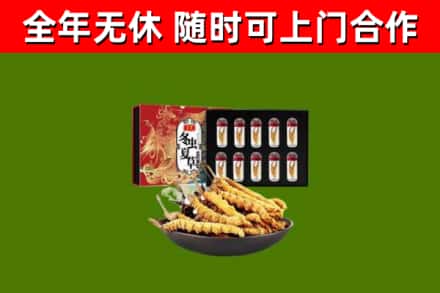 海安市回收冬虫夏草价格