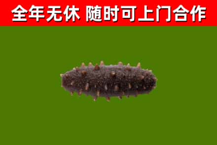 海安市烟酒回收干海参.jpg